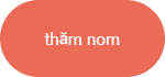 thăm nom